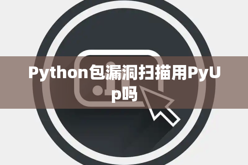 Python包漏洞扫描用PyUp吗