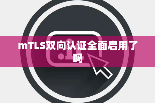mTLS双向认证全面启用了吗