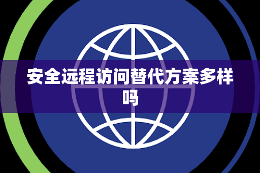 安全远程访问替代方案多样吗