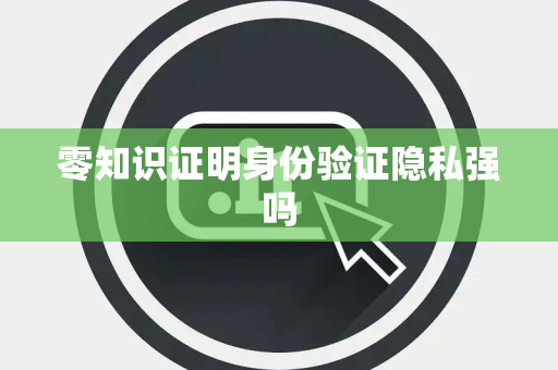 零知识证明身份验证隐私强吗
