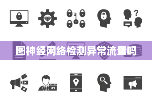 图神经网络检测异常流量吗
