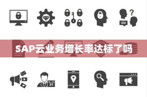 SAP云业务增长率达标了吗