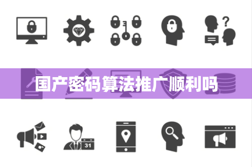 国产密码算法推广顺利吗