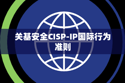 关基安全CISP-IP国际行为准则 关基安全CISP-IP国际行为准则