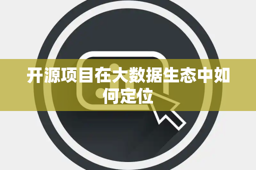 开源项目在大数据生态中如何定位