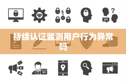 持续认证监测用户行为异常吗
