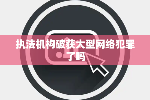 执法机构破获大型网络犯罪了吗