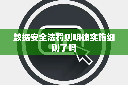数据安全法罚则明确实施细则了吗