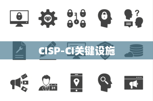 CISP-CI关键设施