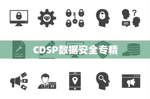 CDSP数据安全专精