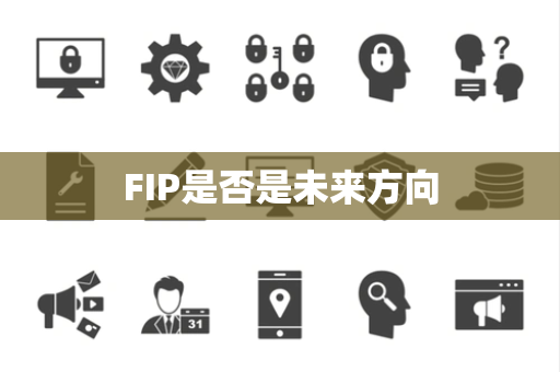 FIP是否是未来方向
