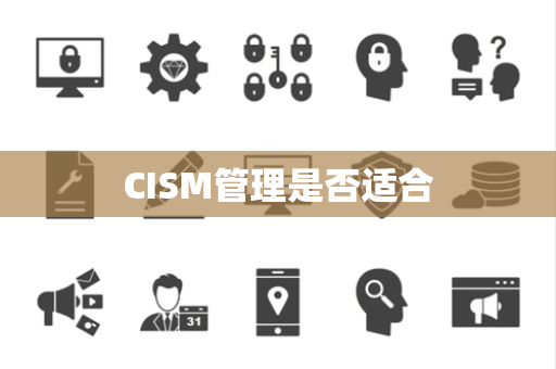 CISM管理是否适合