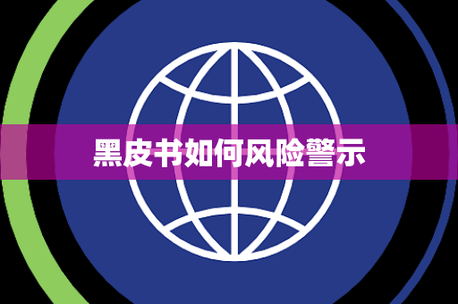 黑皮书如何风险警示