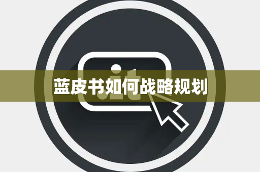 蓝皮书如何战略规划