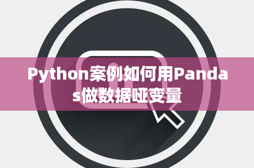 Python案例如何用Pandas做数据哑变量