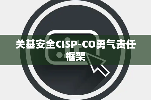 关基安全CISP-CO勇气责任框架