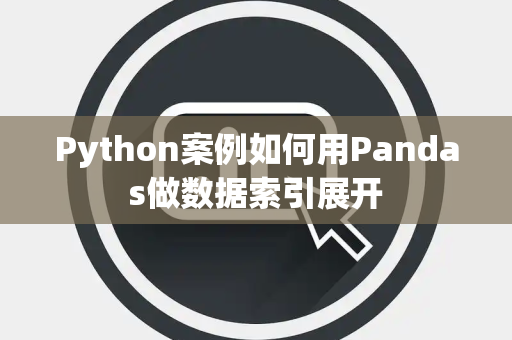 Python案例如何用Pandas做数据索引展开