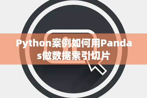 Python案例如何用Pandas做数据索引切片