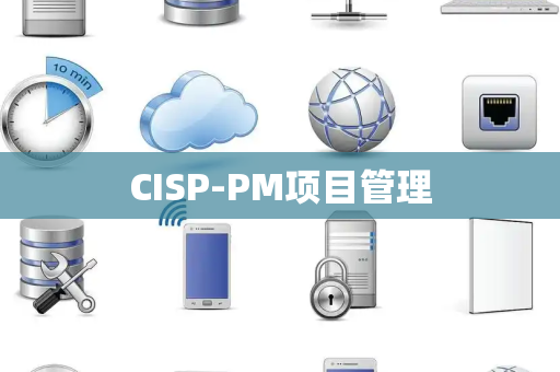 CISP-PM项目管理