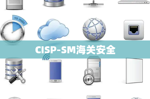 CISP-SM海关安全