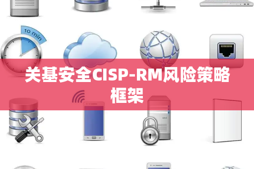 关基安全CISP-RM风险策略框架