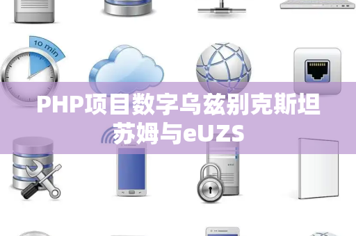 PHP项目数字乌兹别克斯坦苏姆与eUZS