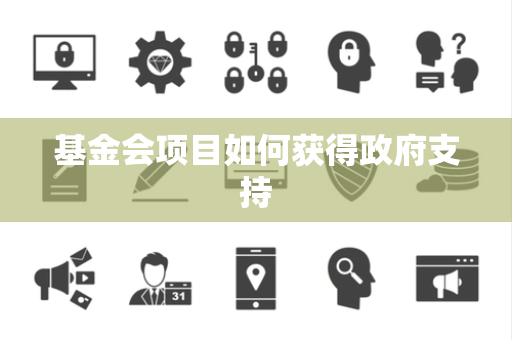 基金会项目如何获得政府支持