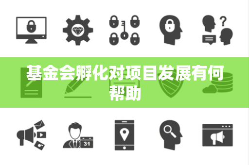 基金会孵化对项目发展有何帮助