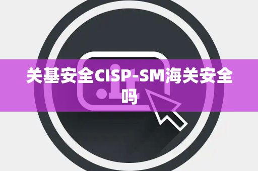 关基安全CISP-SM海关安全吗