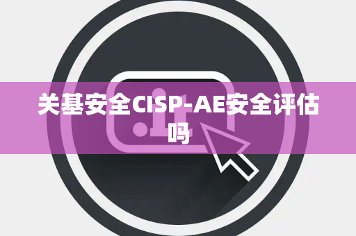 关基安全CISP-AE安全评估吗