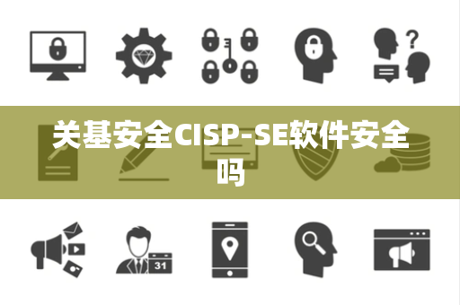关基安全CISP-SE软件安全吗