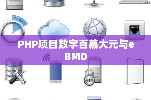PHP项目数字百慕大元与eBMD