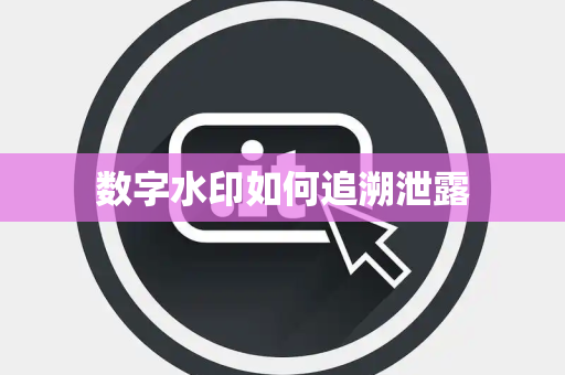数字水印如何追溯泄露