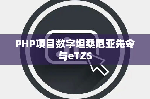 PHP项目数字坦桑尼亚先令与eTZS