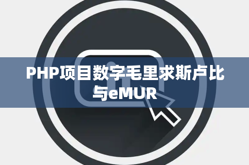 PHP项目数字毛里求斯卢比与eMUR