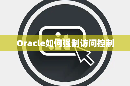 Oracle如何强制访问控制
