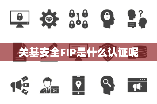 关基安全FIP是什么认证呢