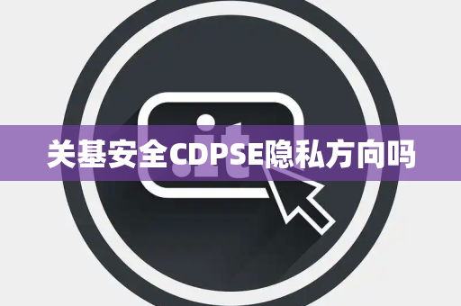 关基安全CDPSE隐私方向吗