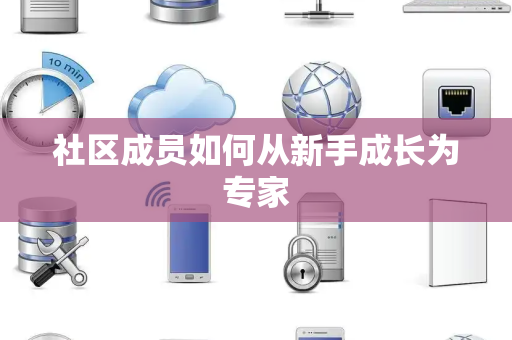 社区成员如何从新手成长为专家