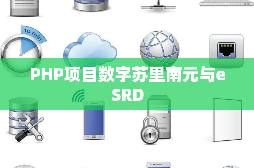 PHP项目数字苏里南元与eSRD