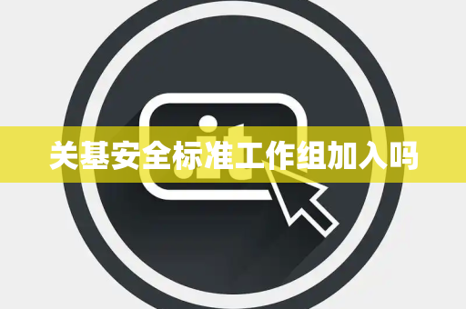 关基安全标准工作组加入吗