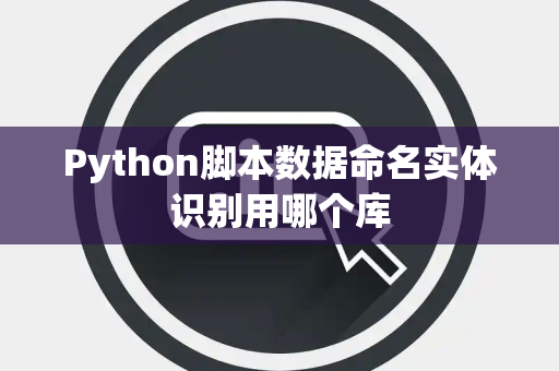 Python脚本数据命名实体识别用哪个库