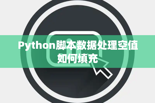 Python脚本数据处理空值如何填充