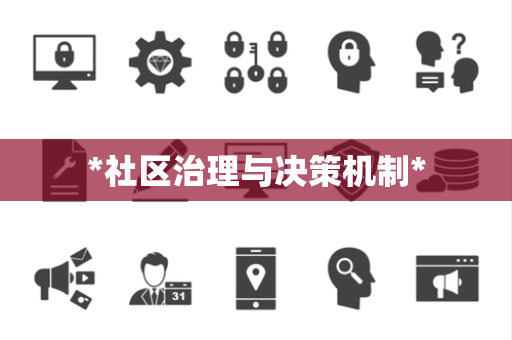 *社区治理与决策机制*