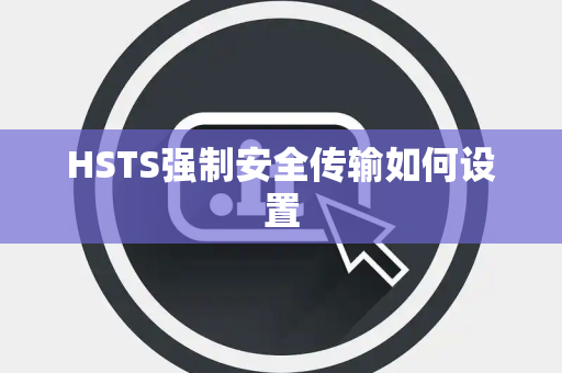 HSTS强制安全传输如何设置 HSTS强制安全传输如何设置