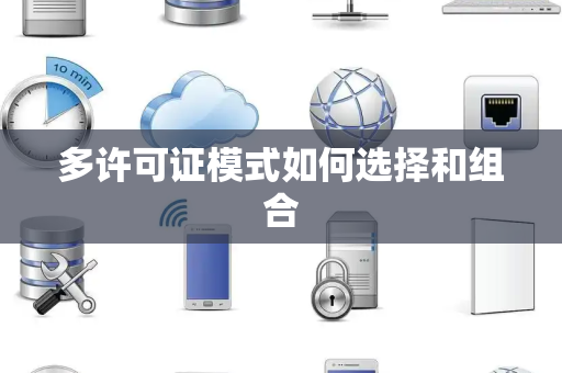 多许可证模式如何选择和组合