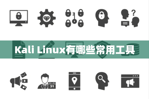 Kali Linux有哪些常用工具