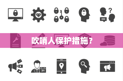 吹哨人保护措施？