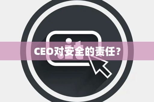CEO对安全的责任？