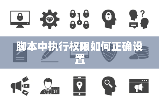 脚本中执行权限如何正确设置 脚本中执行权限如何正确设置